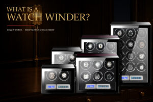 Three-position watch winder illustrating periodic motion and power reserve maintenance