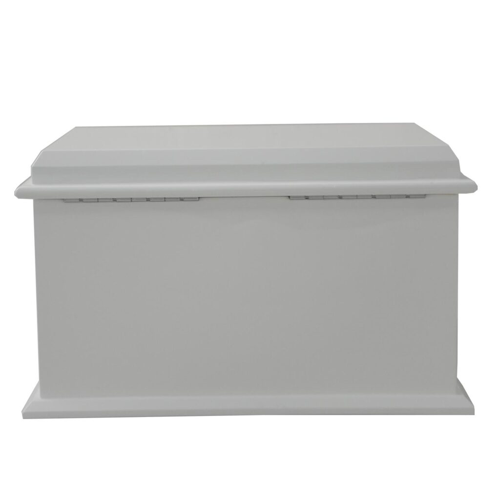Jewelry collection box showing rear hinge structure and white exterior finish