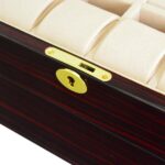 ebony watch display case with gold hinge detail and velvet interior