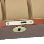 High Glossy Camphor with Camel 6 Watch Case