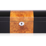 Camphor Glossy Arc 6 Watch Case with Apricot Velvet Interior