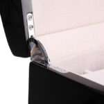 Camphor Glossy Arc 6 Watch Case with Apricot Velvet Interior