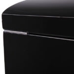 Camphor Glossy Arc 6 Watch Case with Apricot Velvet Interior