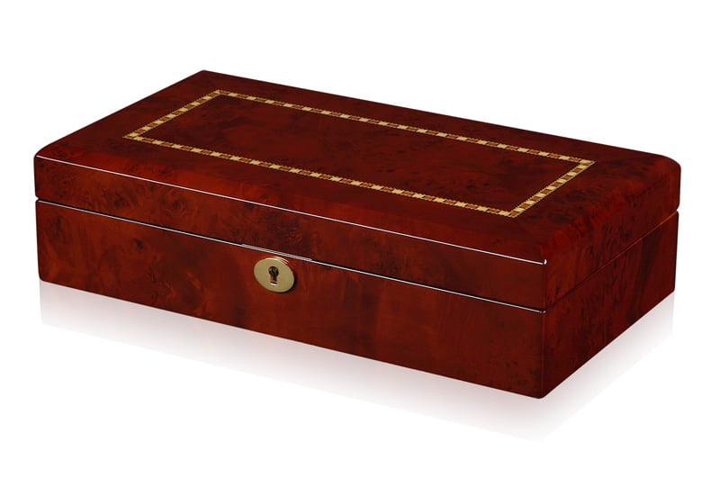 High Glossy Camphor with Apricot 12 Watch Case