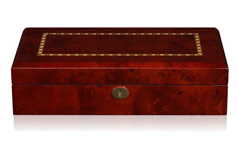 High Glossy Camphor with Apricot 12 Watch Case
