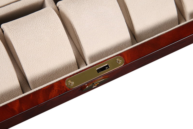High Glossy Camphor with Apricot 12 Watch Case