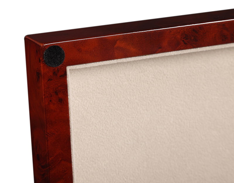 High Glossy Camphor with Apricot 12 Watch Case