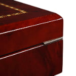 High Glossy Camphor with Apricot 12 Watch Case