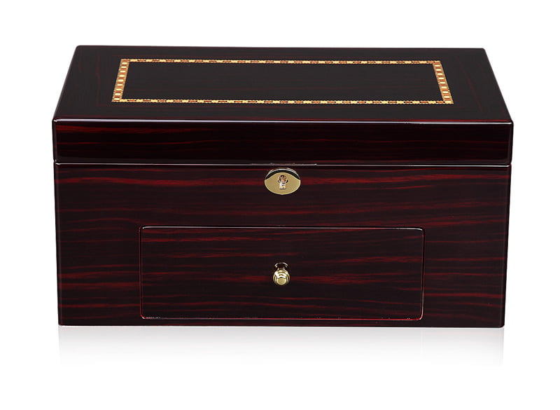 High Glossy Ebony with Apricot 20 Watch Case with Velvet Interior