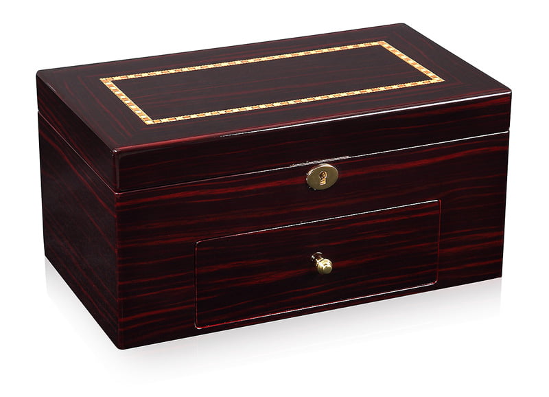 High Glossy Ebony with Apricot 20 Watch Case with Velvet Interior