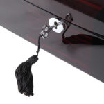 Ebony with Black High Glossy Arc 6 Watch Case with Velvet Interior